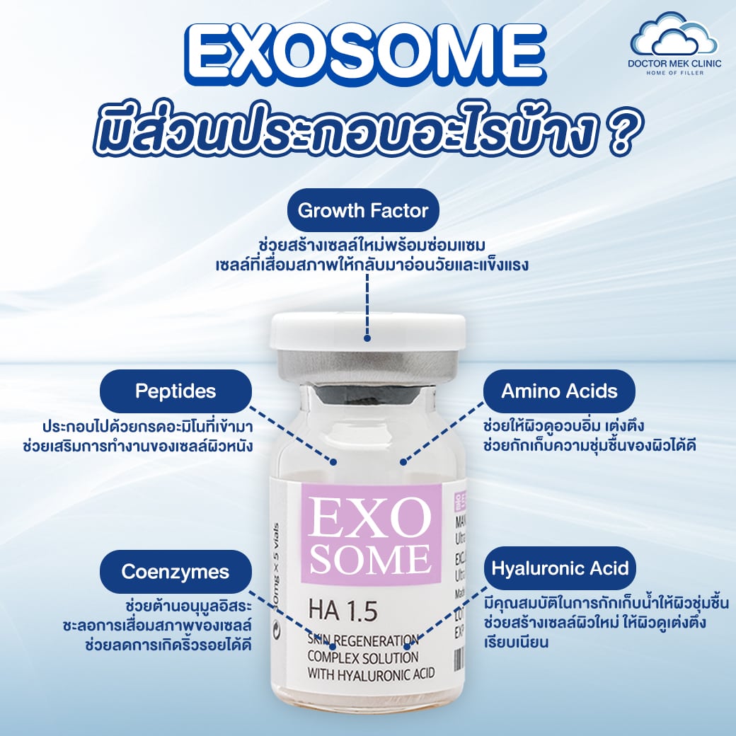 Exosome มีส่วนประกอบสำคัญอะไรบ้าง