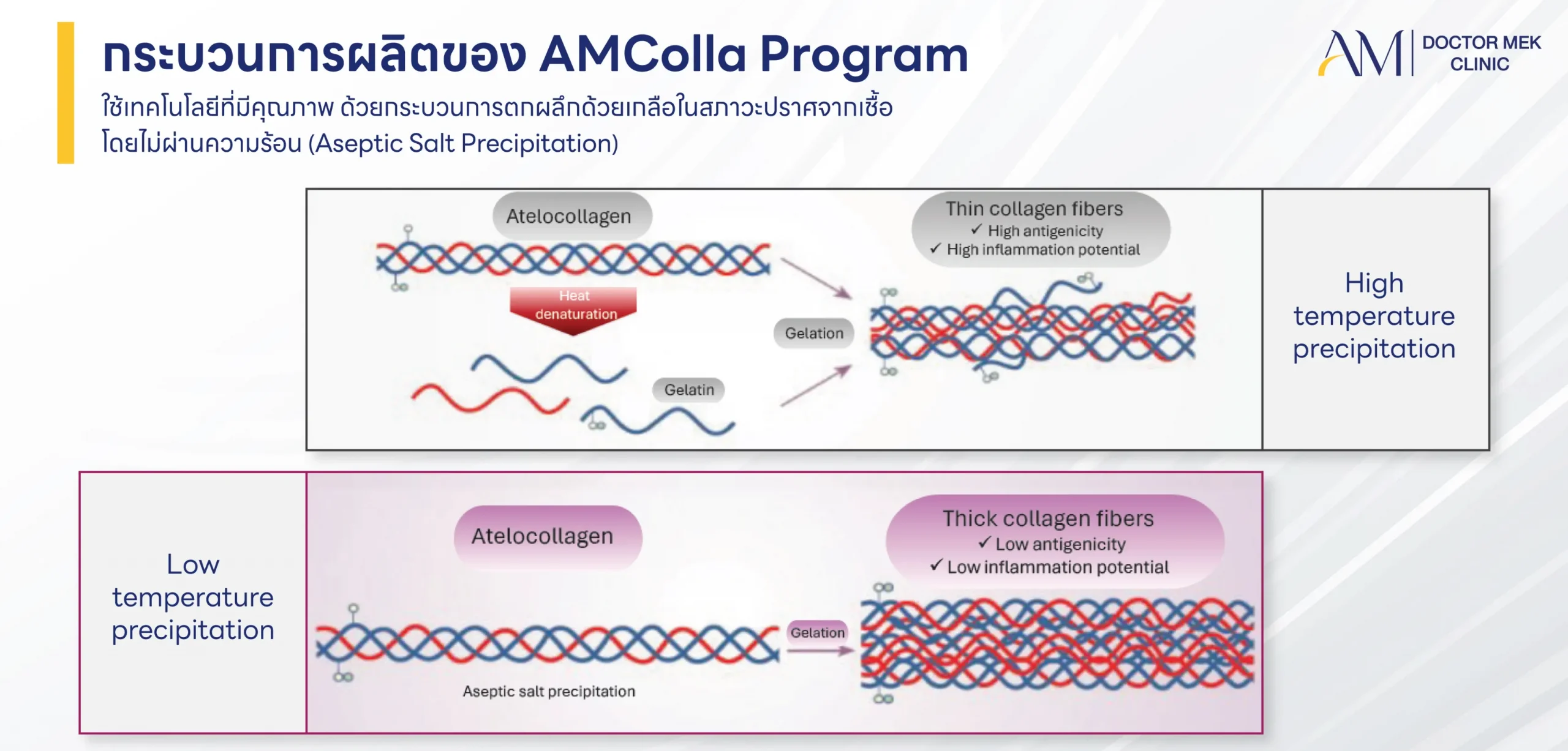 กระบวนการผลิตของโปรแกรม AMColla