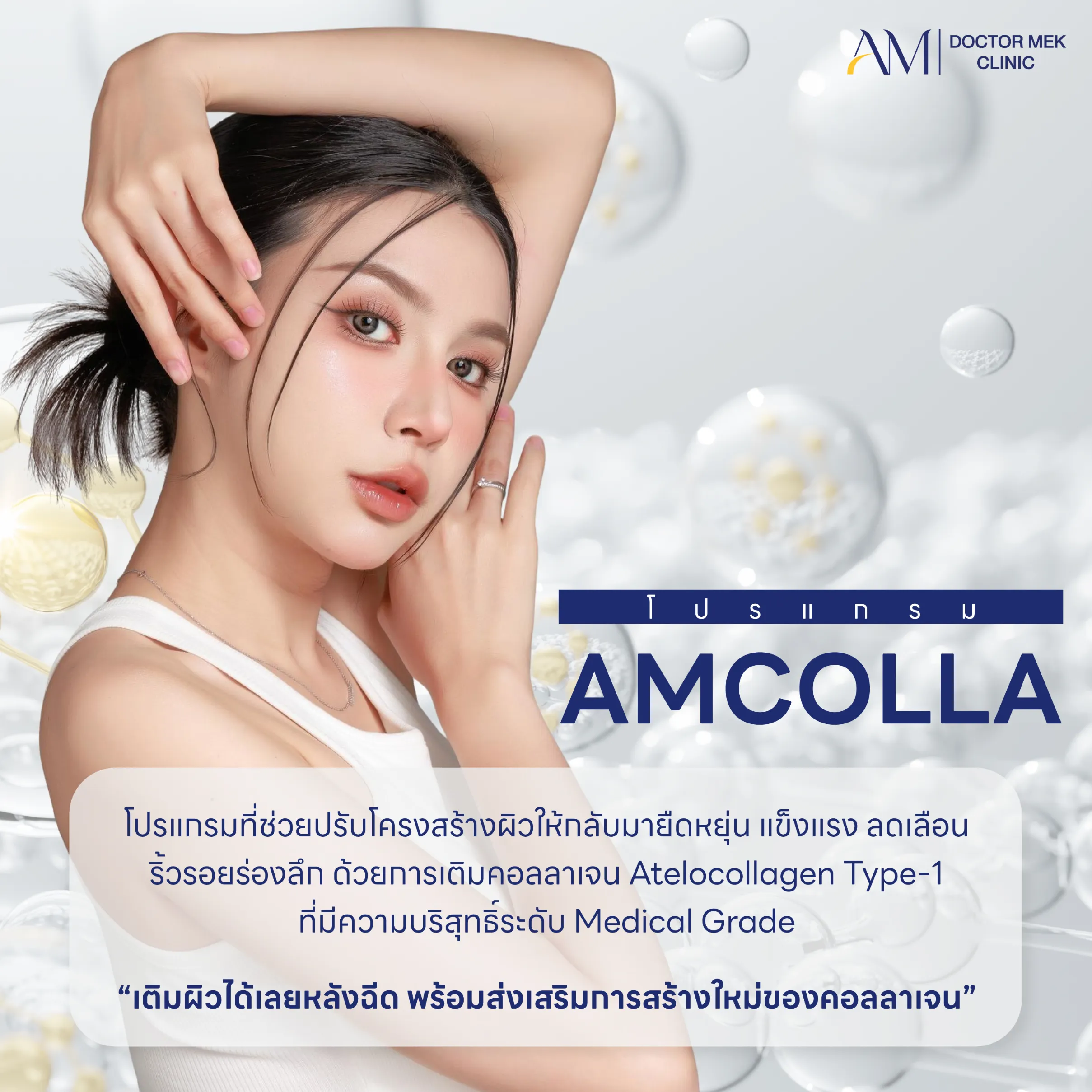 ทำความรู้จัก โปรแกรม AMColla