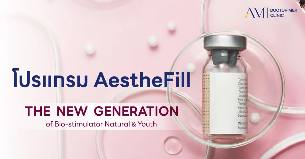 โปรแกรม AestheFill