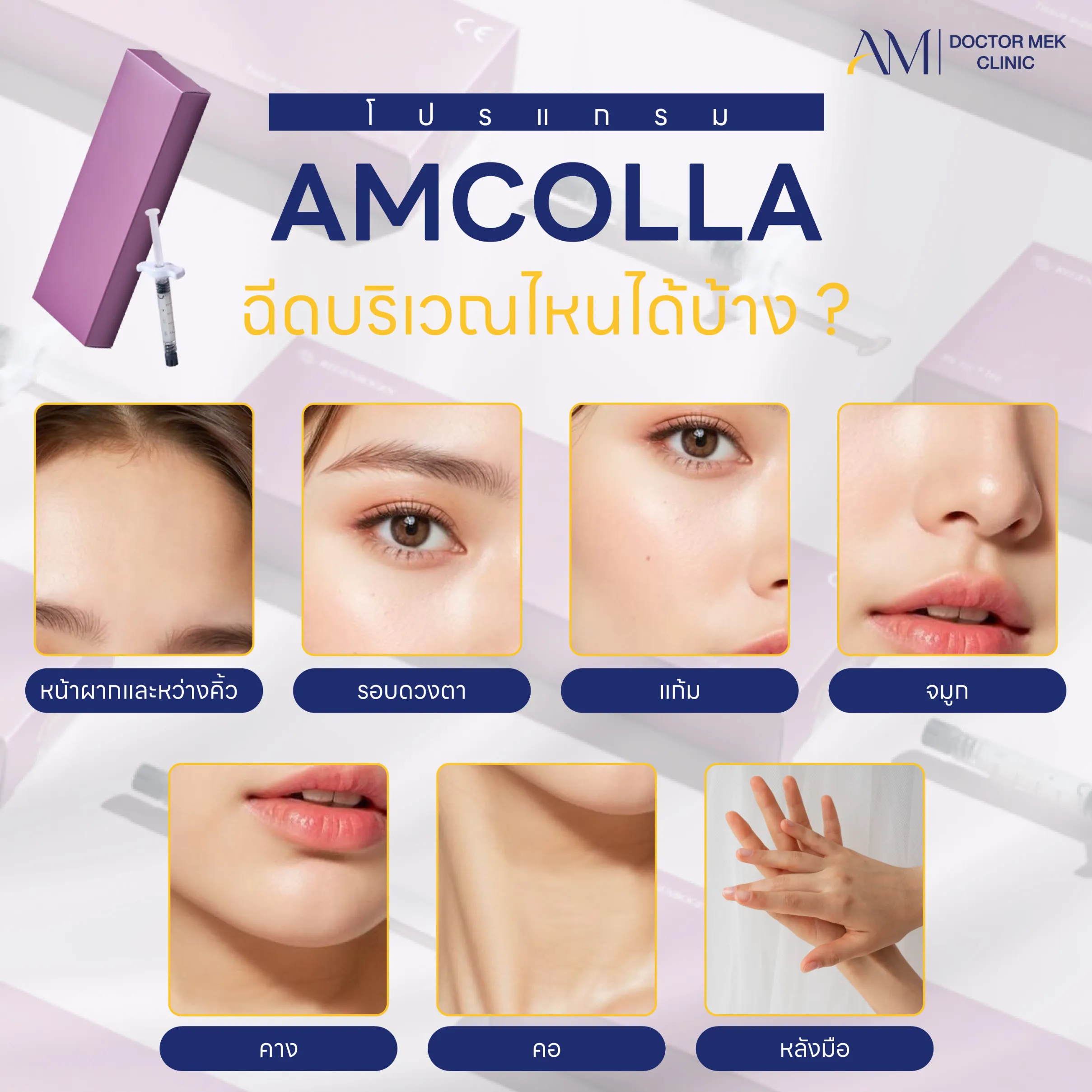 โปรแกรม AMCollaทำบริเวณใดได้บ้าง