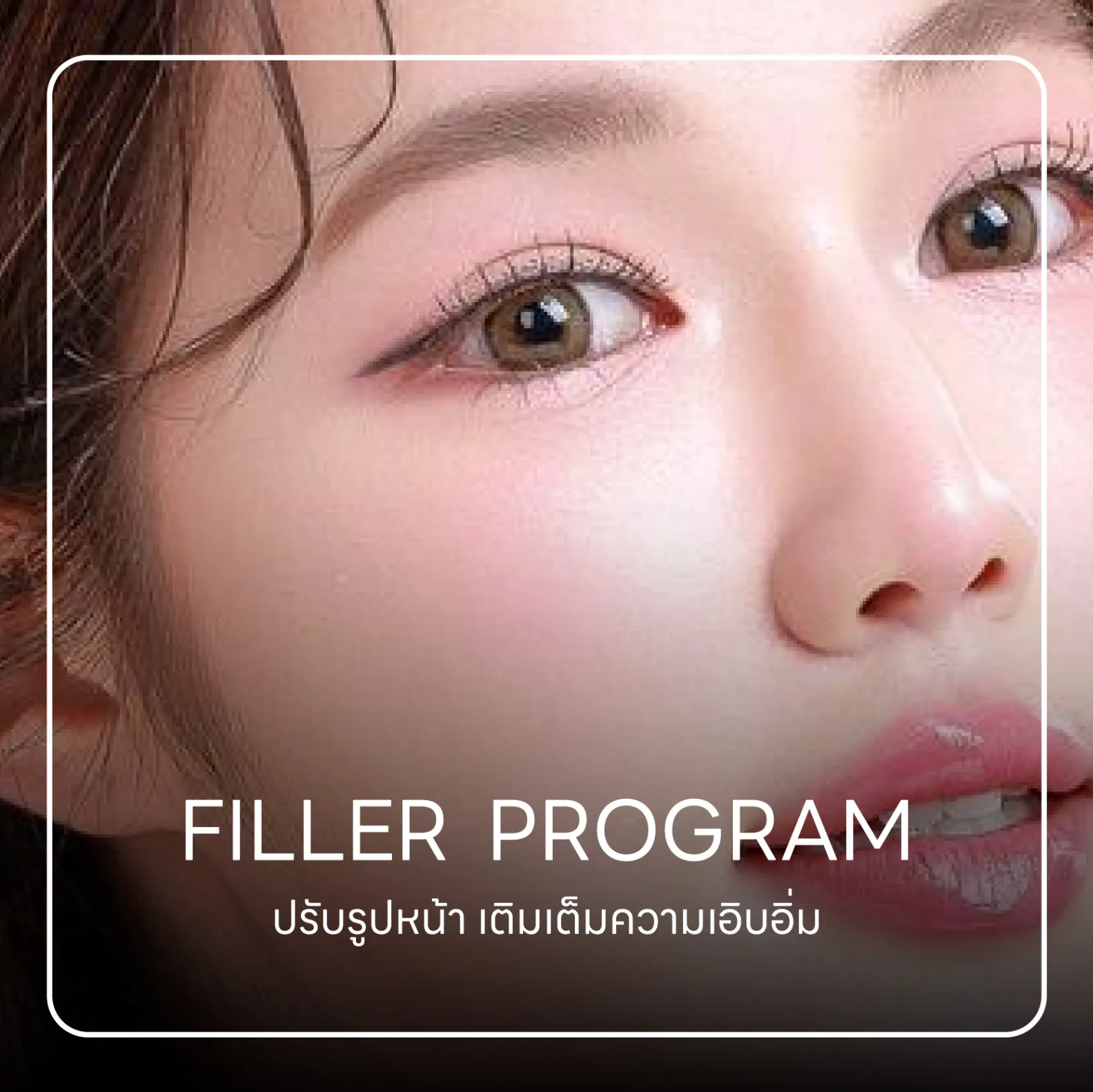 FILLER Program