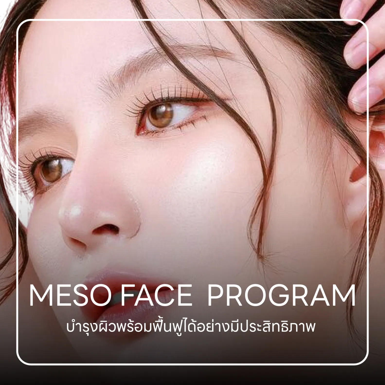 MESO FACE Program