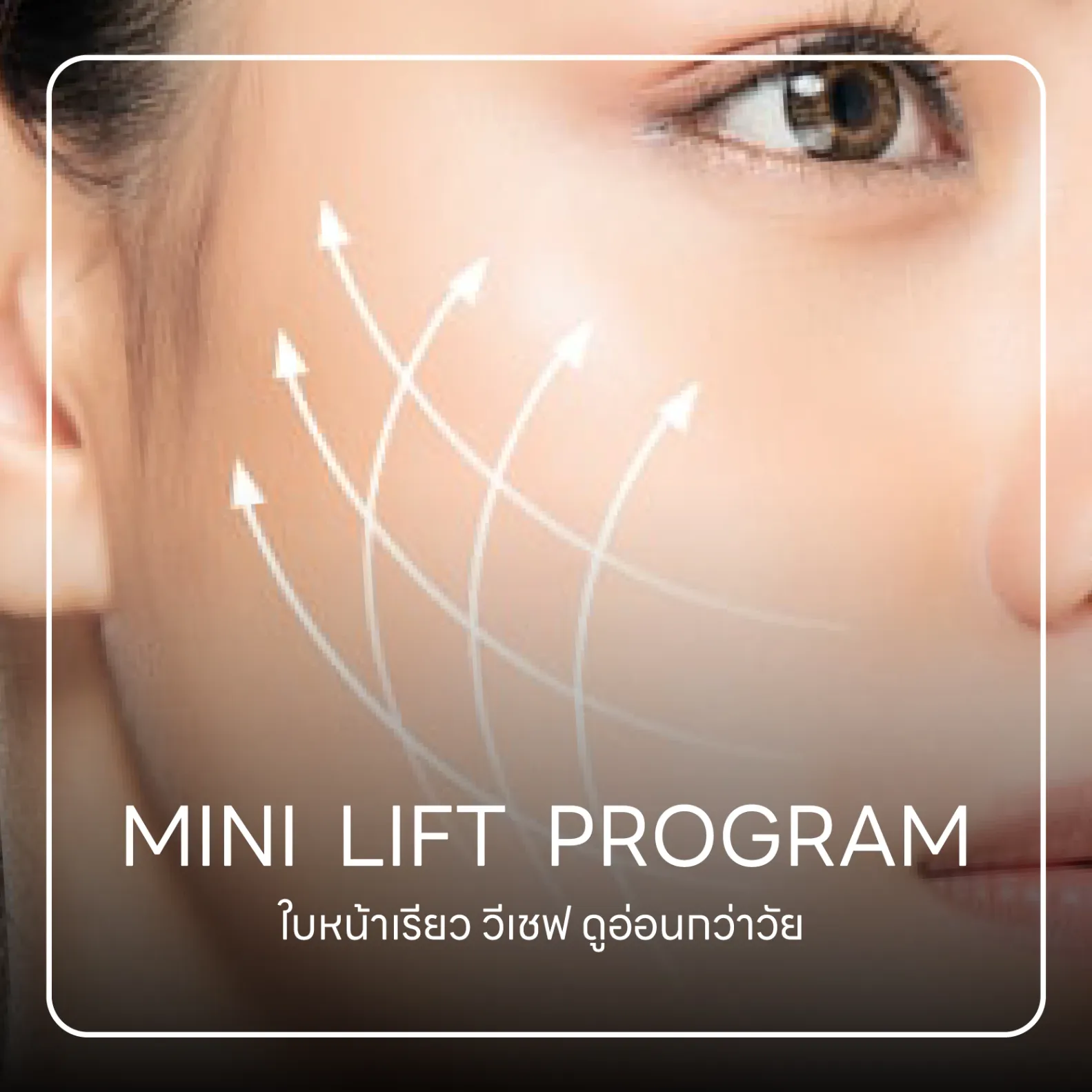 MINI FACE LIFT Program