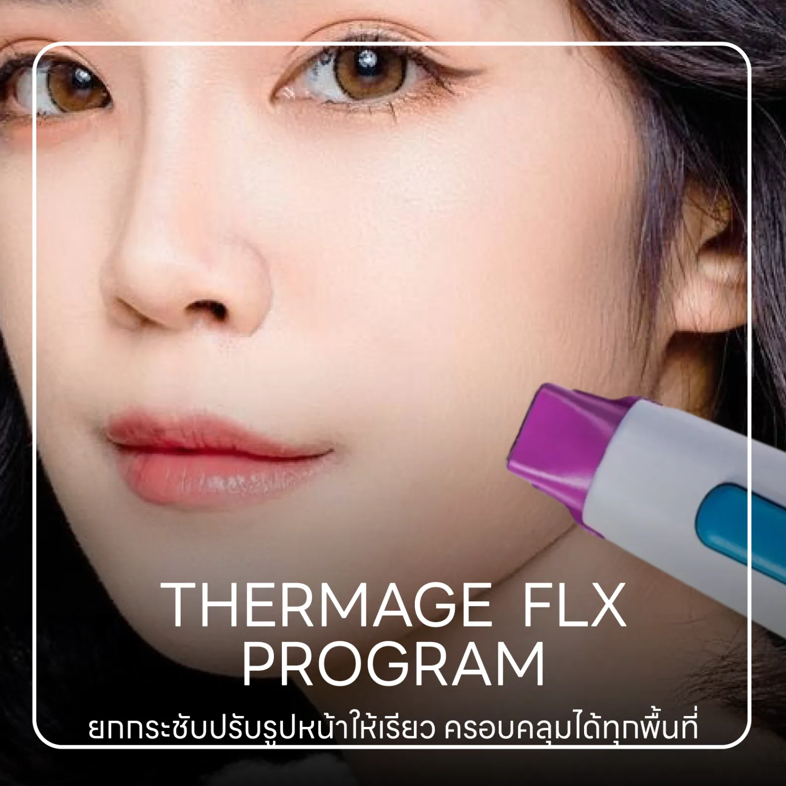 THERMAGE FLX Program